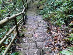 -东天目山风景区
