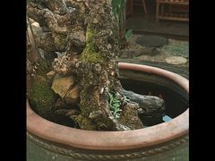 -厚山庭院重庆老火锅