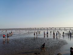 -南汇新城海滩