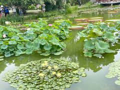 -国家植物园南园