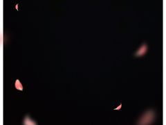 -中山大学-学5食堂