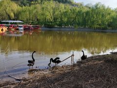 -南翠屏公园