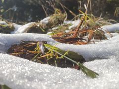 -樱桃山旅游景区