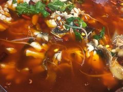 -重庆乌鱼庄·龙滋鲜(青羊大道店)