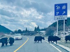 -阿坝州汶川特别旅游区