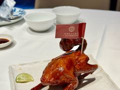-侨美食家·41年地道粤菜(珠江新城店)