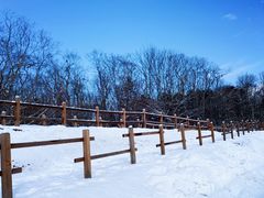 -钏路市丹顶鹤自然公园