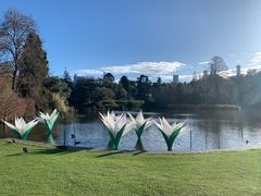 -墨尔本皇家植物园