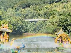 -西双版纳原始森林公园