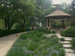 -元大都城垣遗址公园