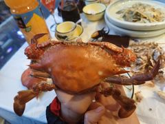 -渔民船说·北塘海鲜·天津菜·海肠捞饭(北塘古镇店)