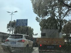 -上海市浦东新区中医医院(川沙总院)