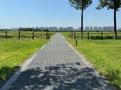 -汉长安城未央宫国家考古遗址公园