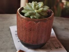 -Tian品