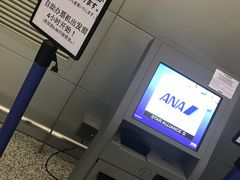 -全日本空输株式会社(上海办事处)