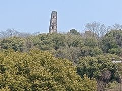 -上海佘山国家森林公园天马山园