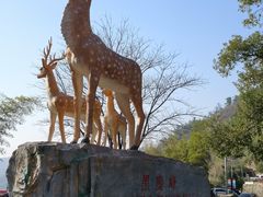 -长沙黑麋峰国家森林公园