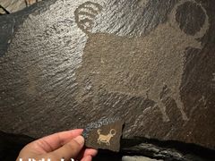 -包头博物馆