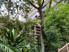 -香港大学