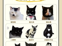 -申普宠物医院·眼科·心内科·影像科(普陀分院)