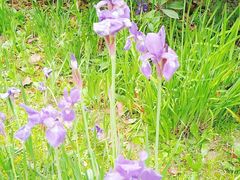 -苏州河梦清园环保主题公园