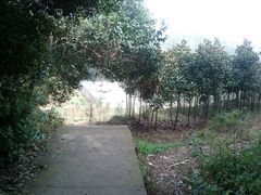 -湘鄂赣边区鄂东南革命烈士陵园