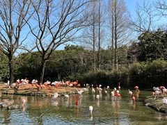 -上海野生动物园