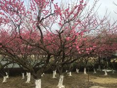 -白塘生态植物园