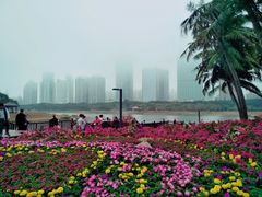 -万绿园