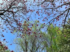 -白塘生态植物园