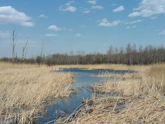 -野鸭湖国家湿地公园