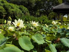 -厦门园林博览苑