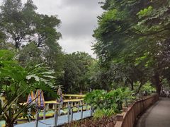 -晓港公园