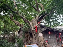 -土城古镇