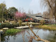-成飞公园