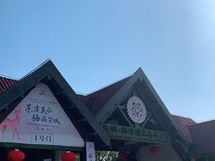 -上海海湾国家森林公园