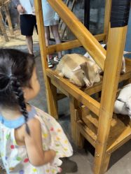 -Zoolung Zoolung动物主题公园(海信广场店)