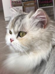 -Beauty Nails 美甲美睫皮肤管理