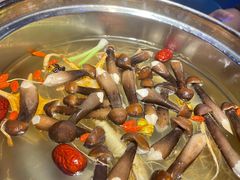 -千岛蚝高压锅生蚝·人参火锅(白云万达店)