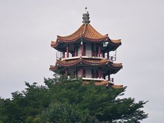-深圳市中科院仙湖植物园