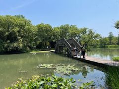 -西溪国家湿地公园