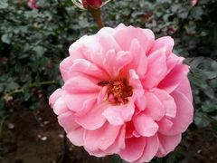 -人民公园(罗湖区)