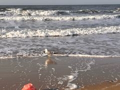 -那香海钻石沙滩浴场