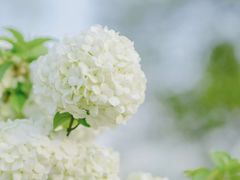 -白塘生态植物园