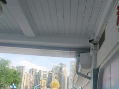 -海合安成都极地海洋公园