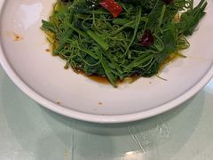 凉拌丝瓜尖-夜不收荤豆花(大邑总店)