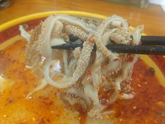 -豫石记羊汤(北苑店)