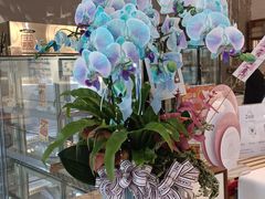 -ZOZO's昌左左精致甜品设计(新北店)