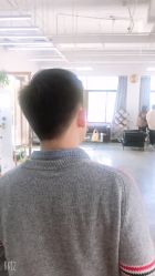 -蚂蚁造型沙龙