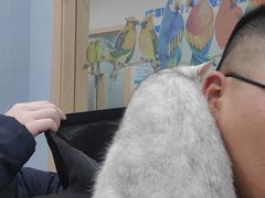 -瑞派名望24h动物医院异宠专科·猫专科·骨科·重症监护分院